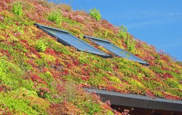 Foy living roof systems